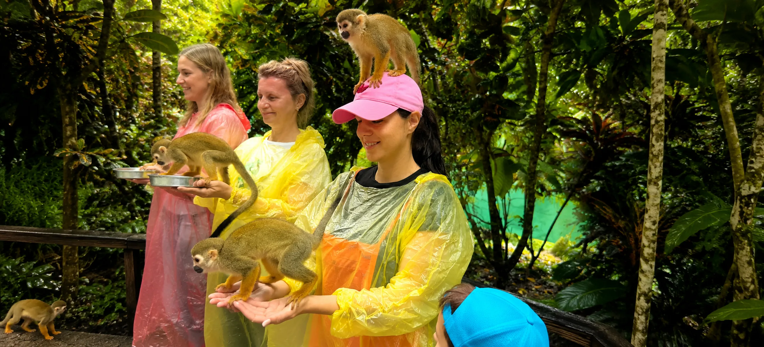 Visitors interacting with squirrel monkeys at Monkeyland Punta Cana rainforest