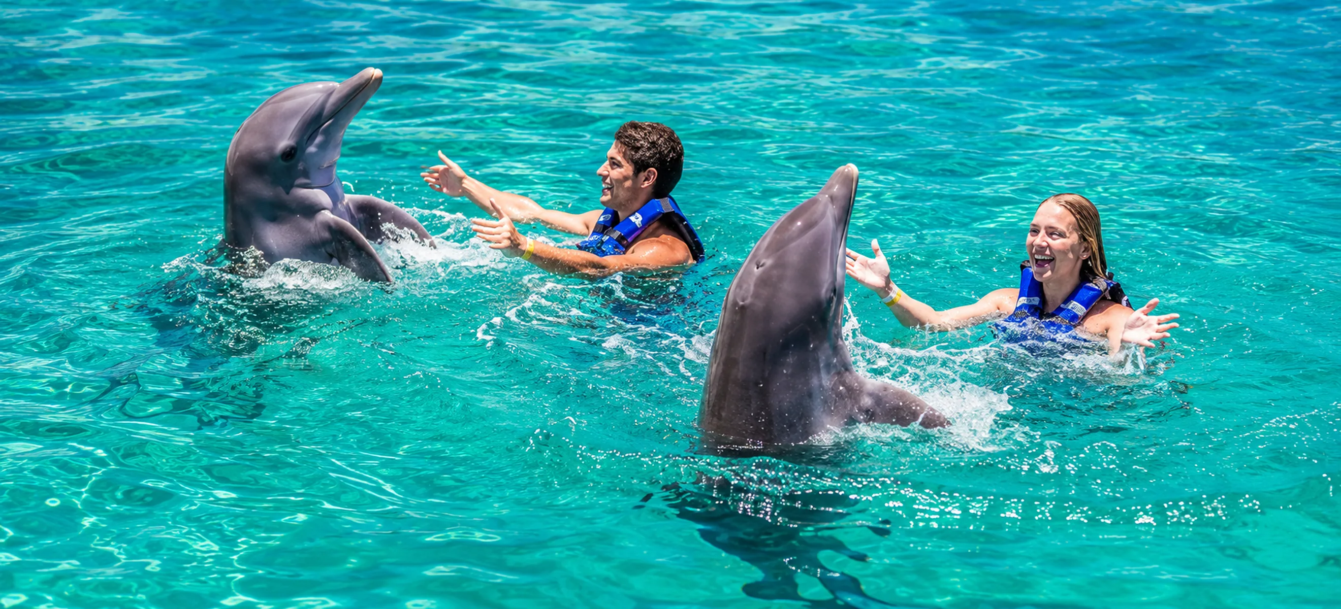 2 dolphing playing with trainers