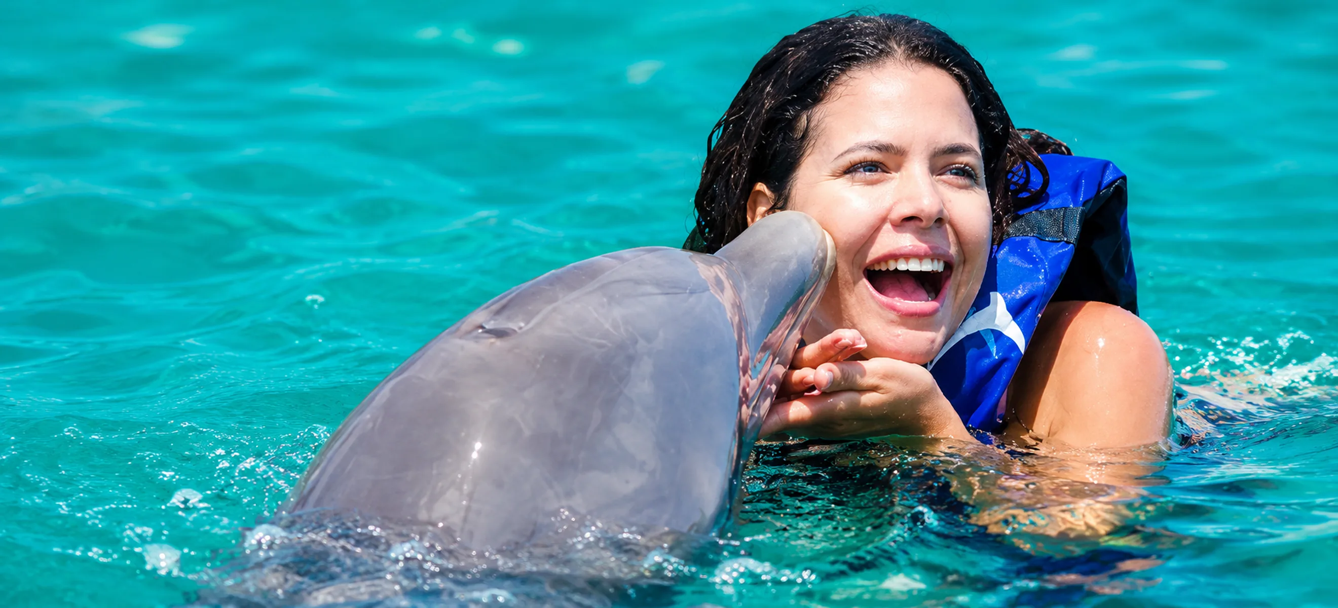 dolphin giving a kiss